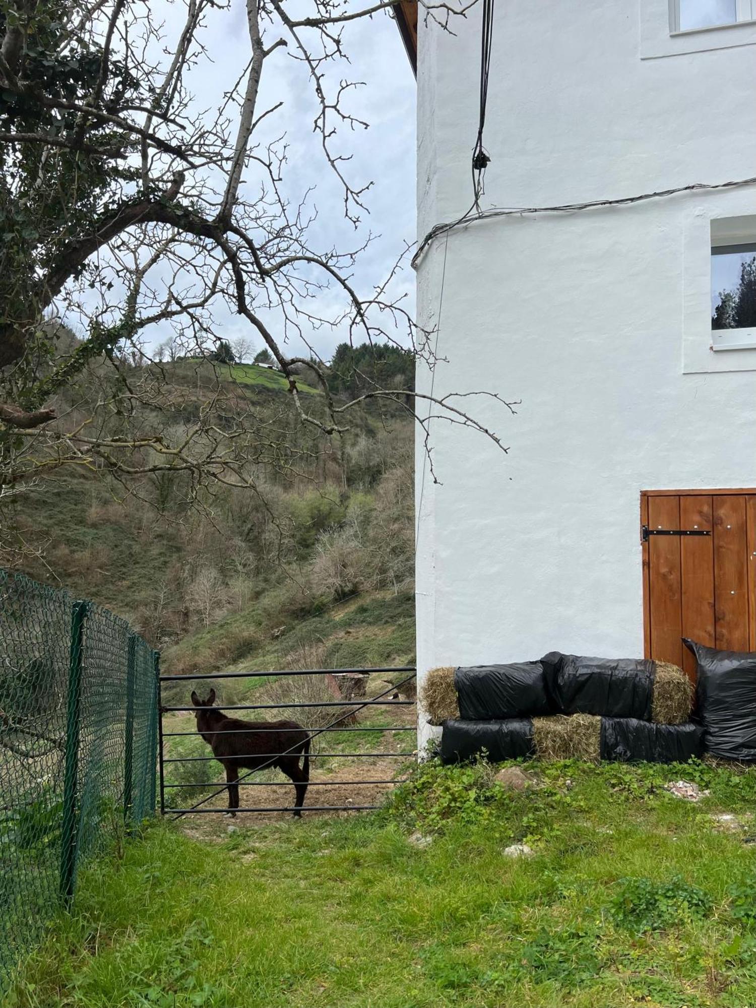 Fantastico Retiro Rural En El Corazon De Euskadi Lejlighed Elgoibar Eksteriør billede